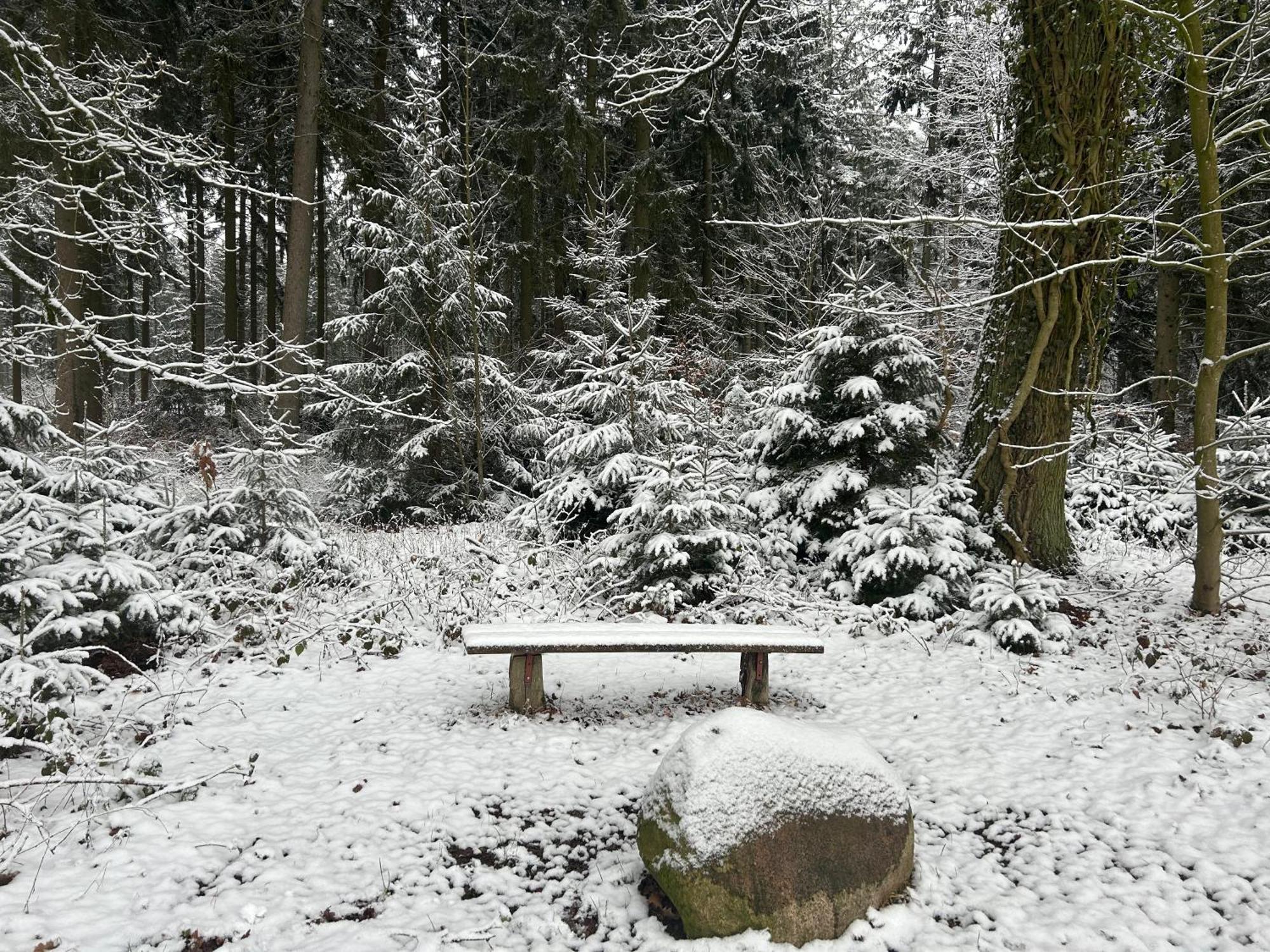 Ferienwohnungen Liedtke Bispingen Exterior foto
