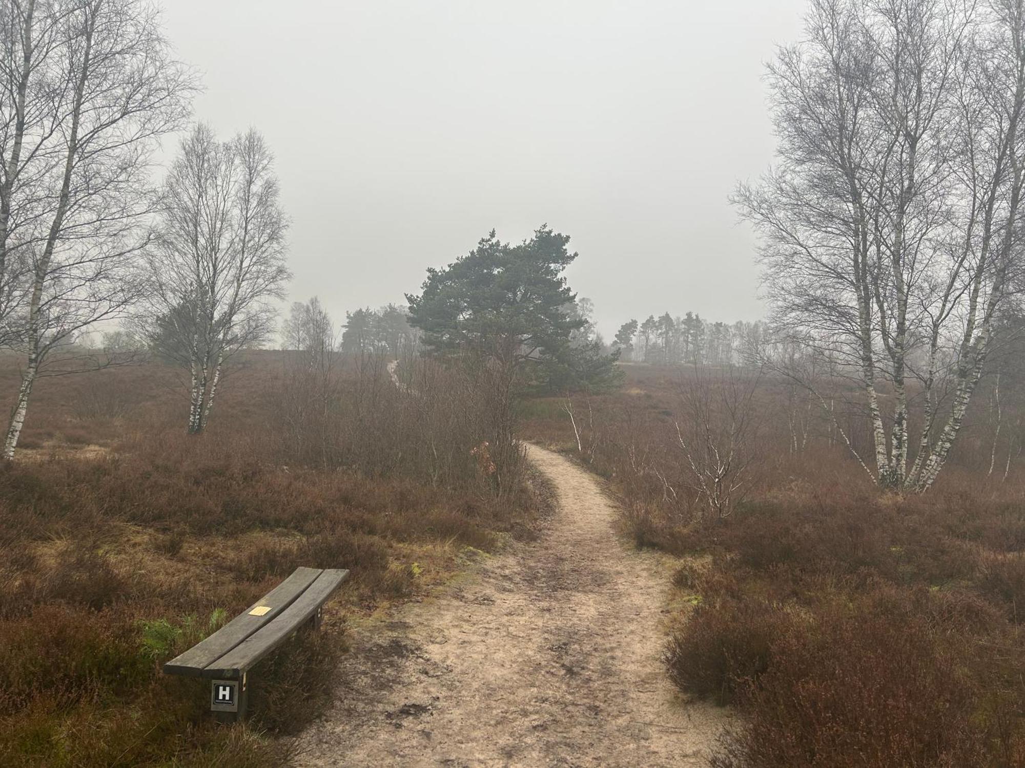Ferienwohnungen Liedtke Bispingen Exterior foto