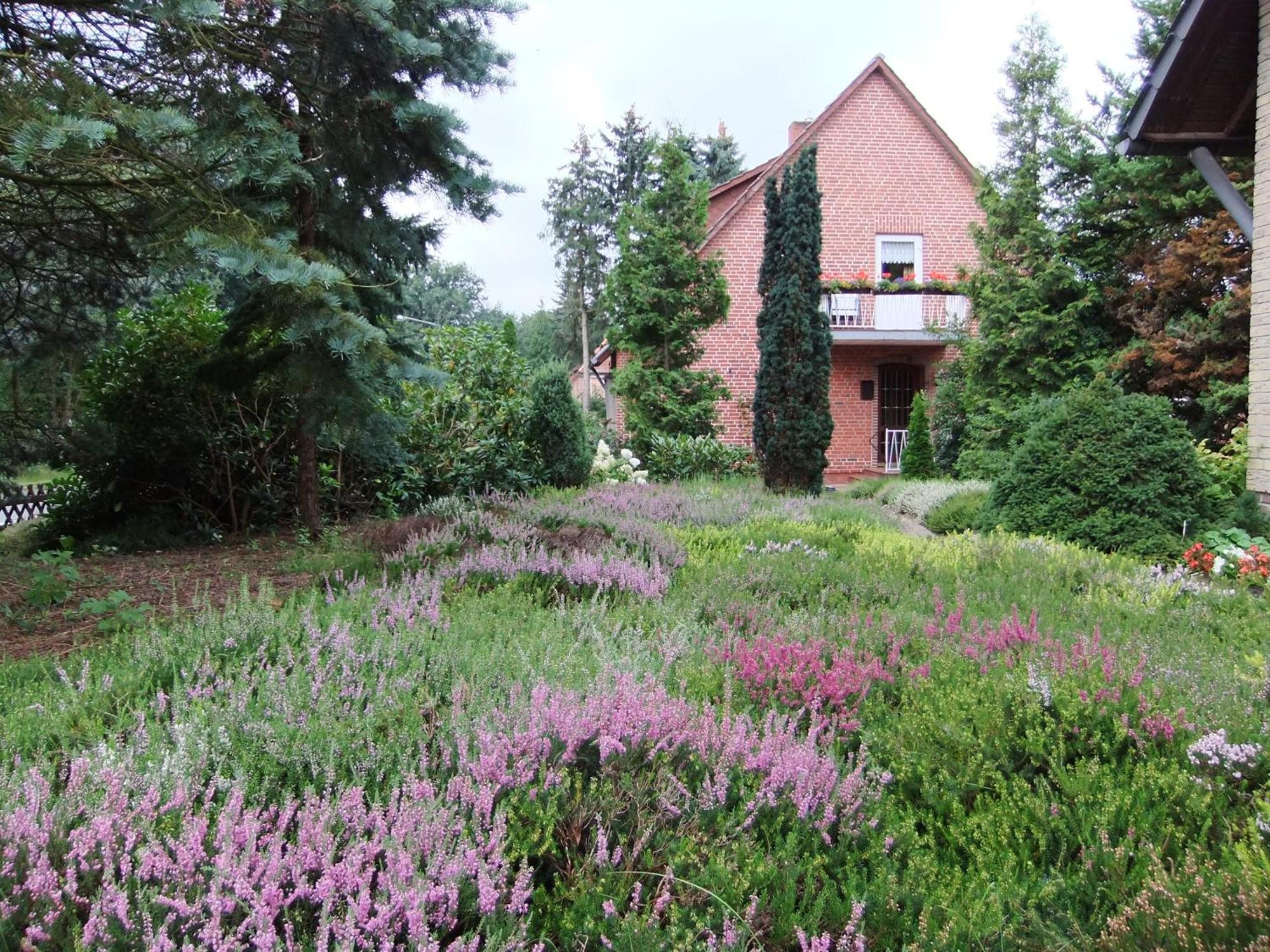 Ferienwohnungen Liedtke Bispingen Exterior foto