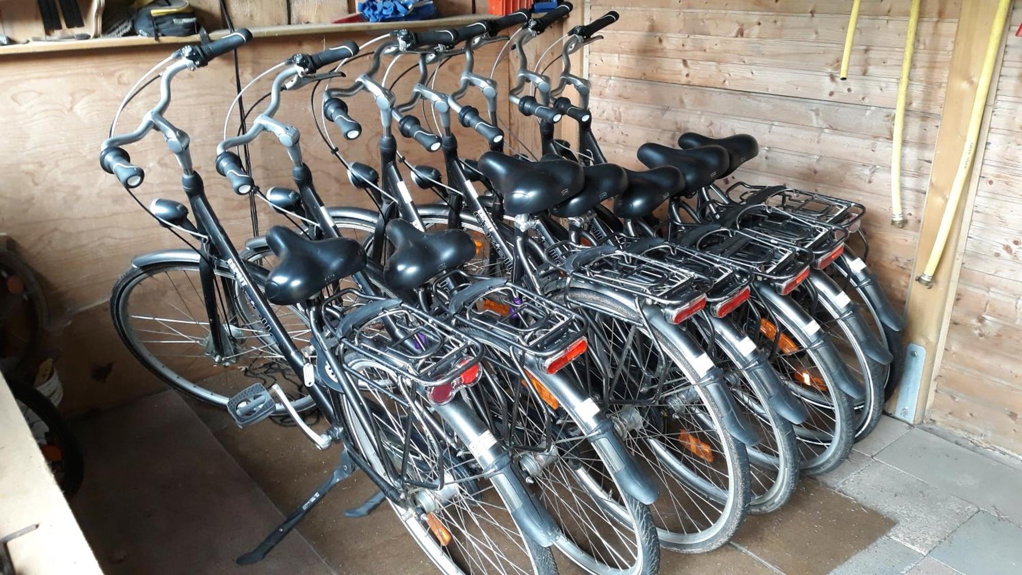 Ferienwohnungen Liedtke Bispingen Exterior foto